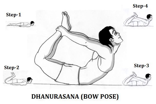 dhanurasana bow pose 